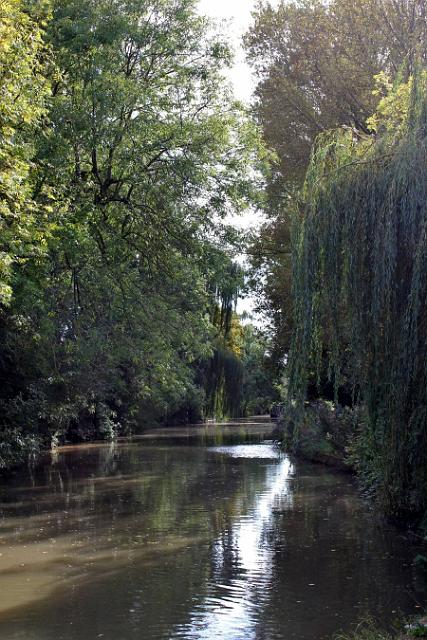 8 More reflections.jpg